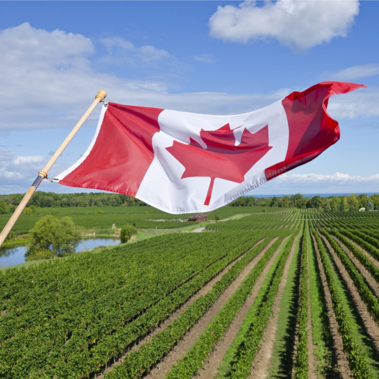 Canada 768x768 - Wine and consumer options growing in Canada