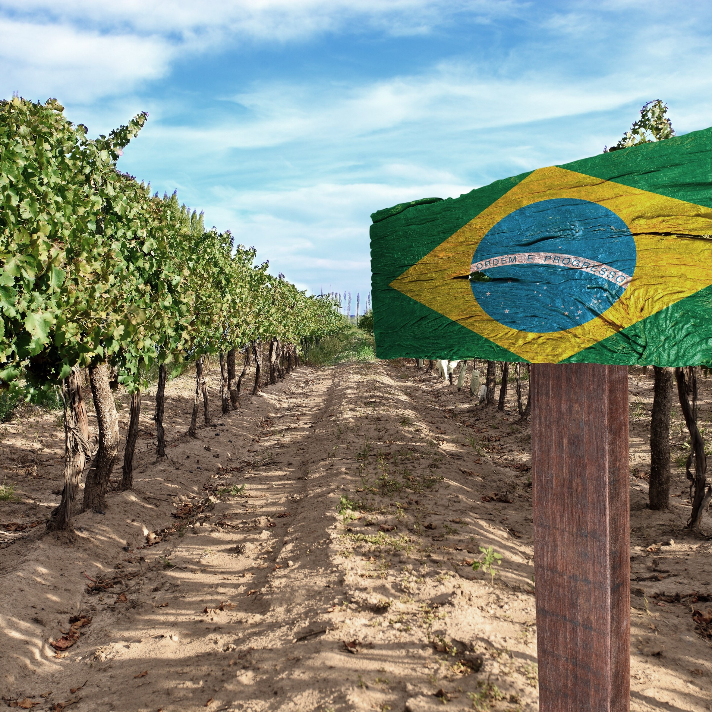 Brazil - Will gin drink wine under the table?