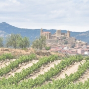 spain landscapes 2 180x180 - Organic wine remains #1 sustainable wine type, but desire to buy is waning