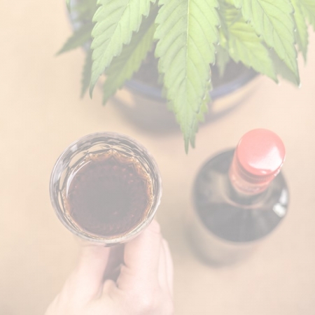 Cannabis pic 2 450x450 - Australia, cannabis and the wine industry