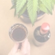 Cannabis pic 2 80x80 - And suddenly, Portugal was trendy