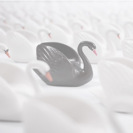 Black swan image 450x450 - Switchcraft