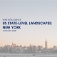 US State Level NY 80x80 - US Landscapes 2020 reports + data tables bundle
