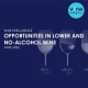 Opportunities in Lower and No alcohol wine 2022 80x80 - Wine E-commerce 2022