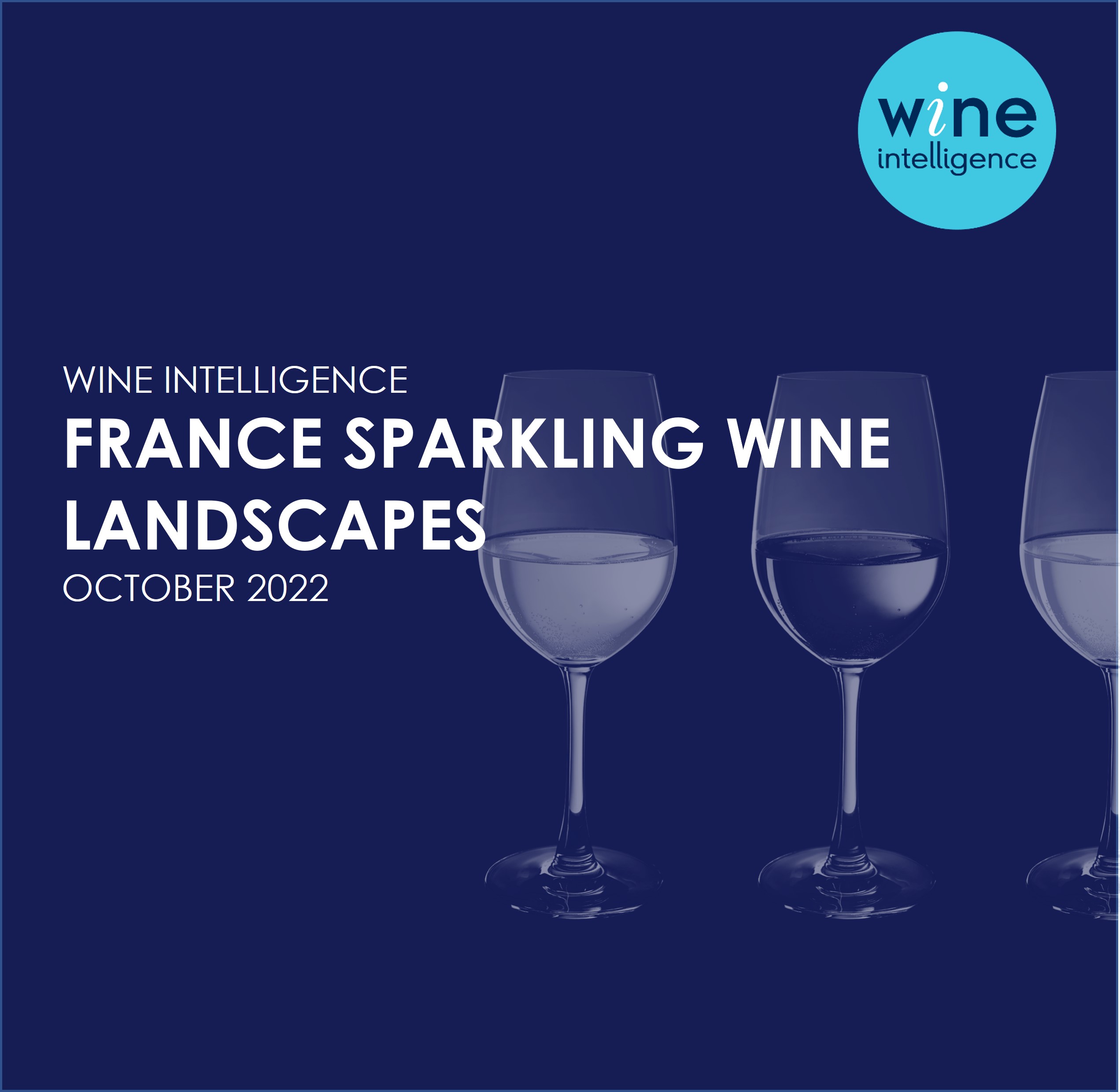 France sparkling wine landscapes 2022 - Les Vins Effervescents Sur Le Marche Francais 2022 (Sparkling Wine in the French Market 2022)