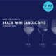 Brazil Wine Landscapes 2023 80x80 - US Wine Landscapes Report 2023