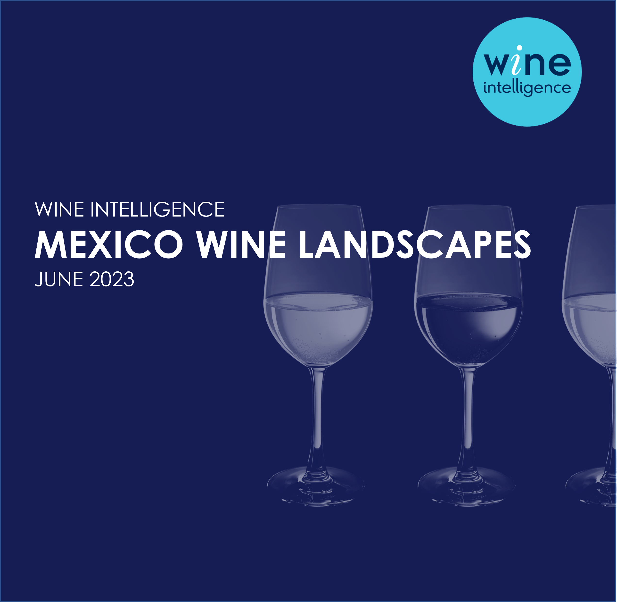 Mexico Wine Landscapes thumbnail 2023 - View Reports